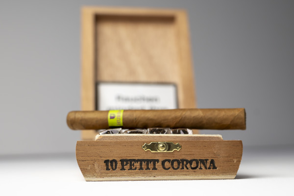 Petite Corona BOX of 10